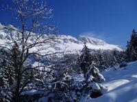 Le Haras du Vercors vous accueille au coeur des montagnes